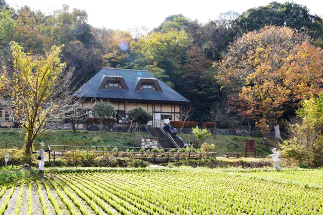 座間谷戸山公園